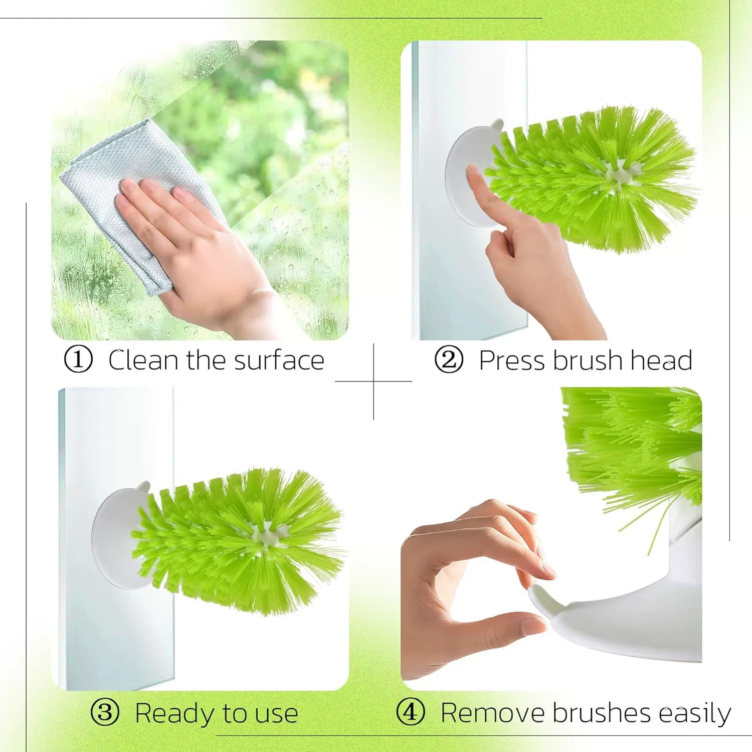reptile cleaning supplies