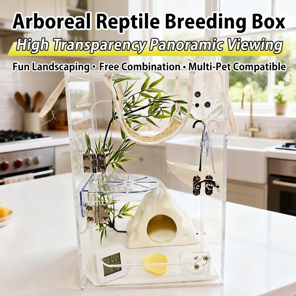 reptile starter kit​