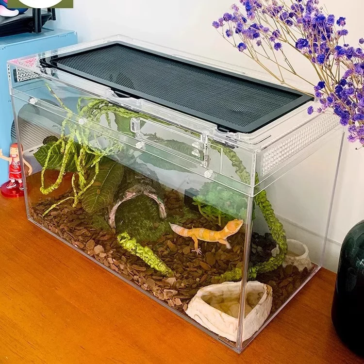 terrarium reptile kit