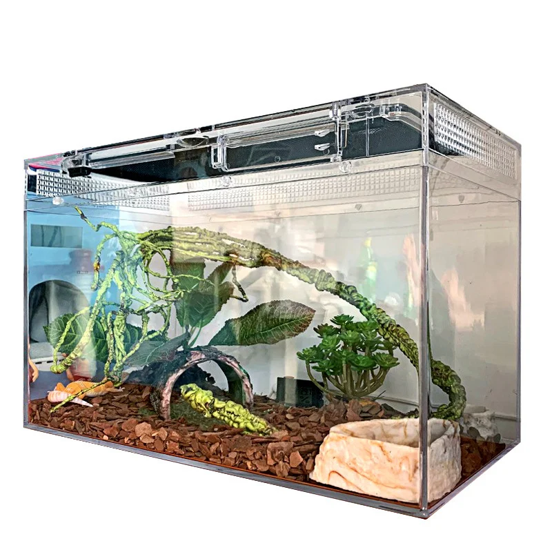 terrarium reptile kit