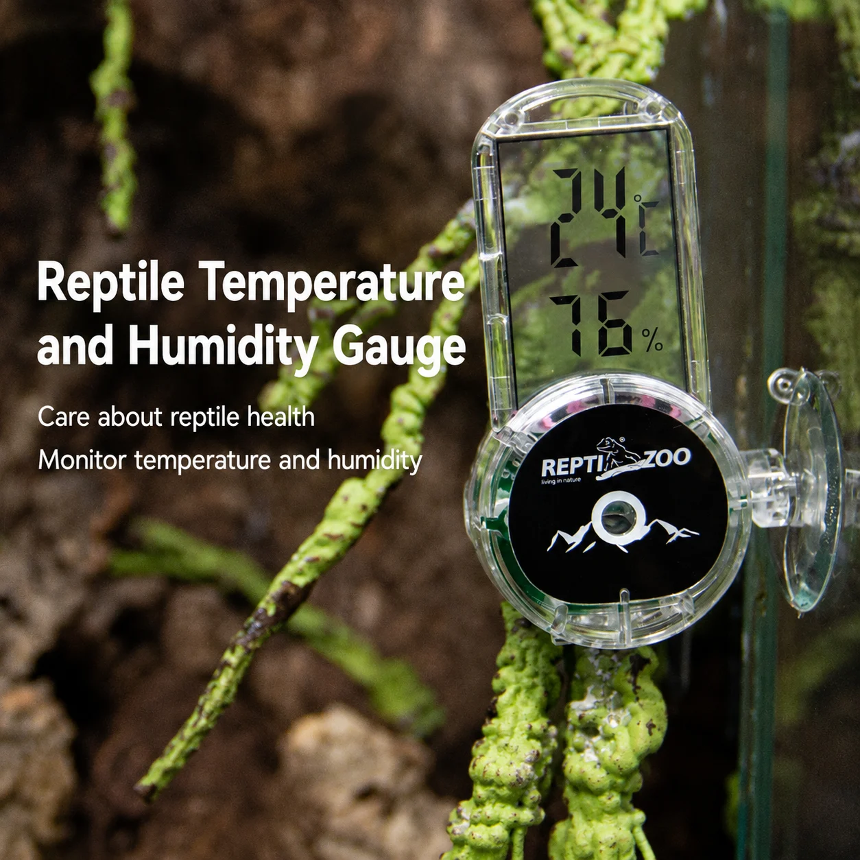 terrarium thermometer