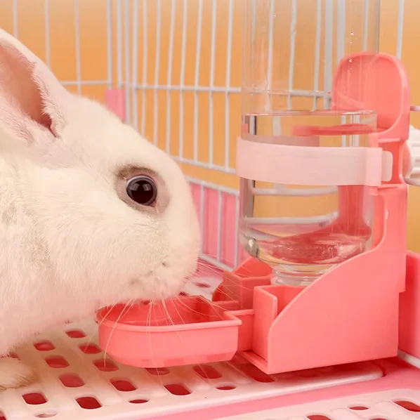 water bottle for rabbits